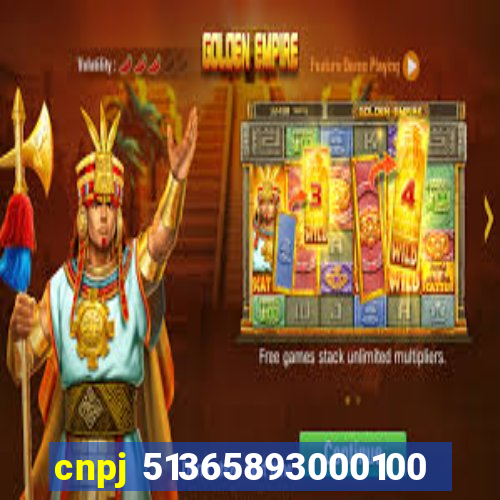 cnpj 51365893000100